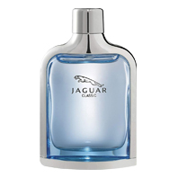 Classic 100ml
