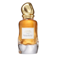 Cashmere & Palo Santo 100ml