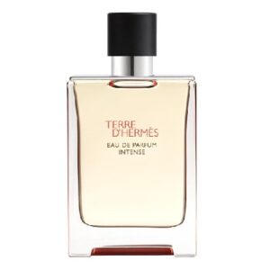 Terre D'Hermes Intense 100ml
