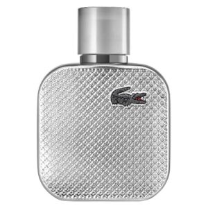 L,12,12 Silver Grey 100ml