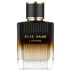 Elie Saab L'Homme Intense 100ml